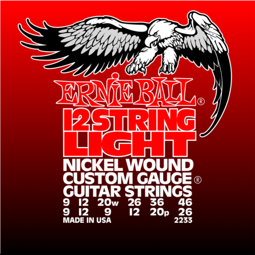 ERNIE BALL P02233