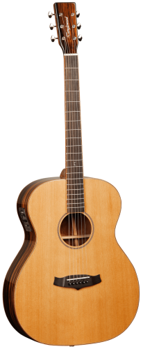 TANGLEWOOD TWJF E